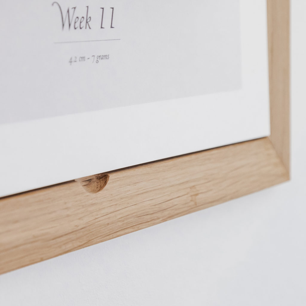 the-original-nine-months-calendar-nine-months-calendar