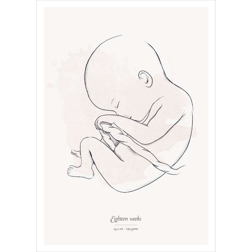 eighteen-weeks-pregnancy-a5-card-nine-months-calendar