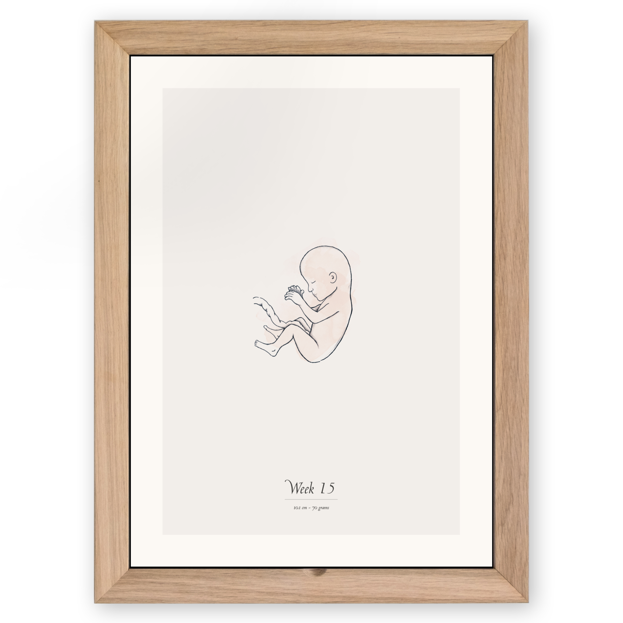 Nine Months Calendar pregnancy calendar on a 11 scale