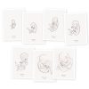 Set of 7 cards